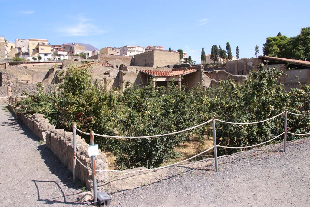 III.1 Herculaneum, September 2019. Area 31, looking across garden area towards north side, and north-east corner.
Photo courtesy of Klaus Heese.